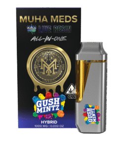 GUSH MINTZ | HYBRID