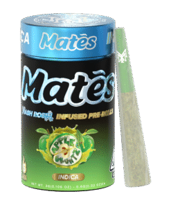 APPLE GRUNTZ | INDICA